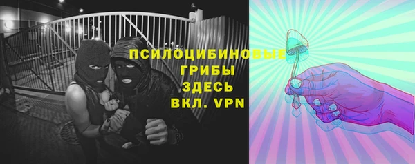 амф Алзамай