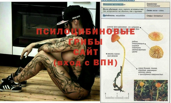амф Алзамай