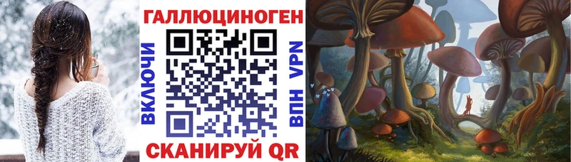 Галлюциногенные грибы MAGIC MUSHROOMS  Абакан 